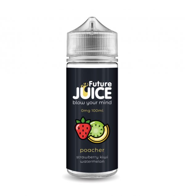 Future Juice 100ml
