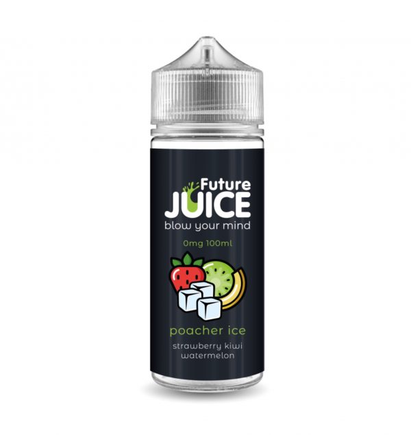 Future Juice 100ml